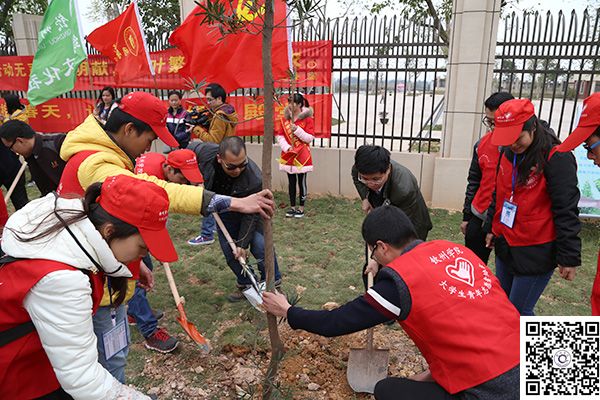 植树添绿  共同打造绿色钦院