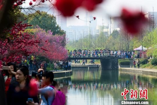 中新网三峡大学桃花节开幕 26国留学生展异域风情