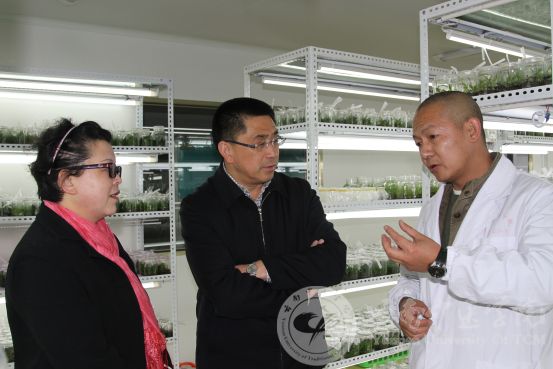 省科技厅领导到我校“云南省道地濒危中药材繁育与栽培工程技术研究中心”调研