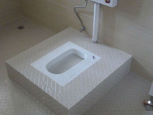 日媒中国多地成立“厕所革命领导小组”