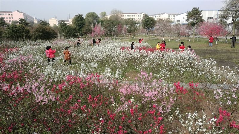 常德职业技术学院——“桃花里的学校”