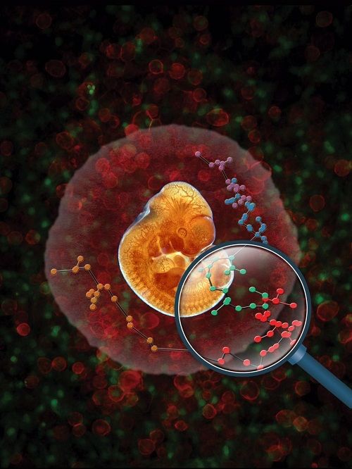 Nature在线发表汤富酬实验室与合作单位在单细胞尺度解析造血干细胞起源的重要成果