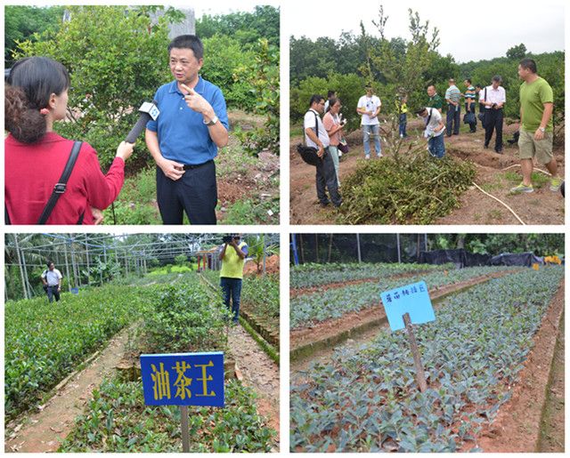 海南省首届热带油茶产业发展研讨会在琼海召开 | 海南大学 | Hainan University