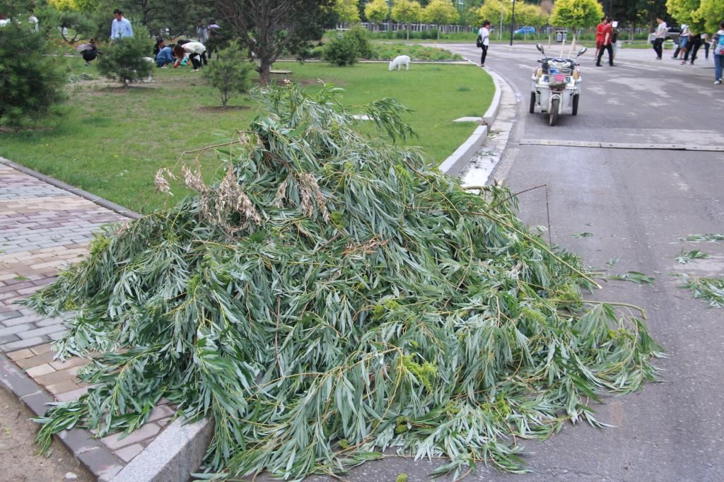 暴雨后的校园