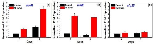 北京大学张珏课题组在生物电技术提高抗生素产量的研究中取得重要进展