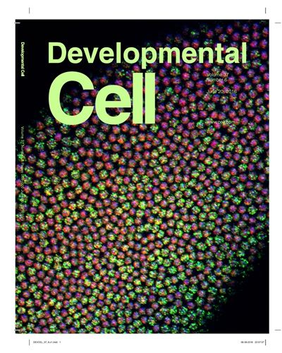 生命科学学院朱健研究组揭示表观遗传调控新机制