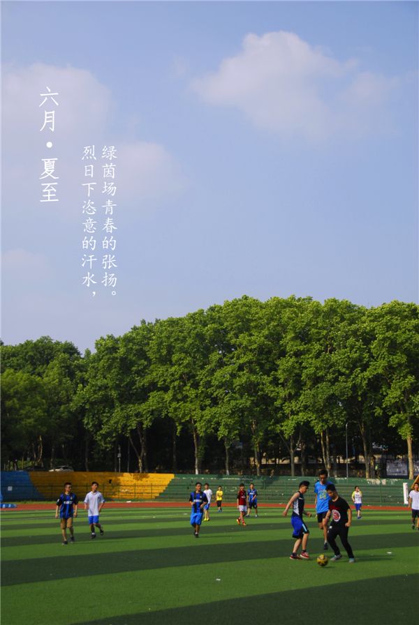 手机壁纸六月•夏至组图
