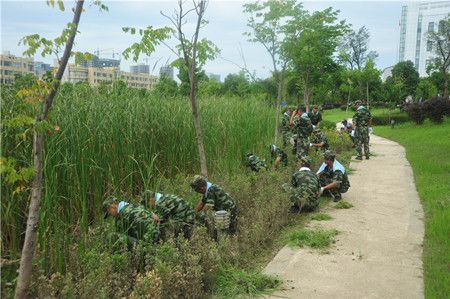 铁肩担使命  军民鱼水情——驻校武警官兵开展校园环境义务除草劳动