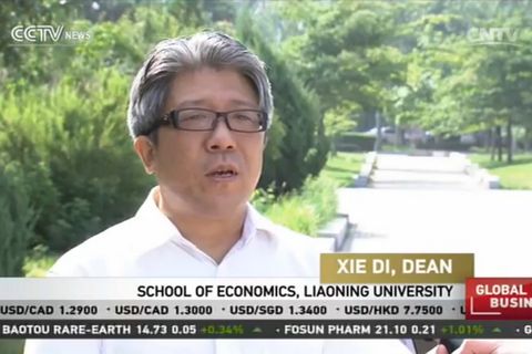 辽宁大学经济学院院长谢地教授接受中央电视台国际频道采访