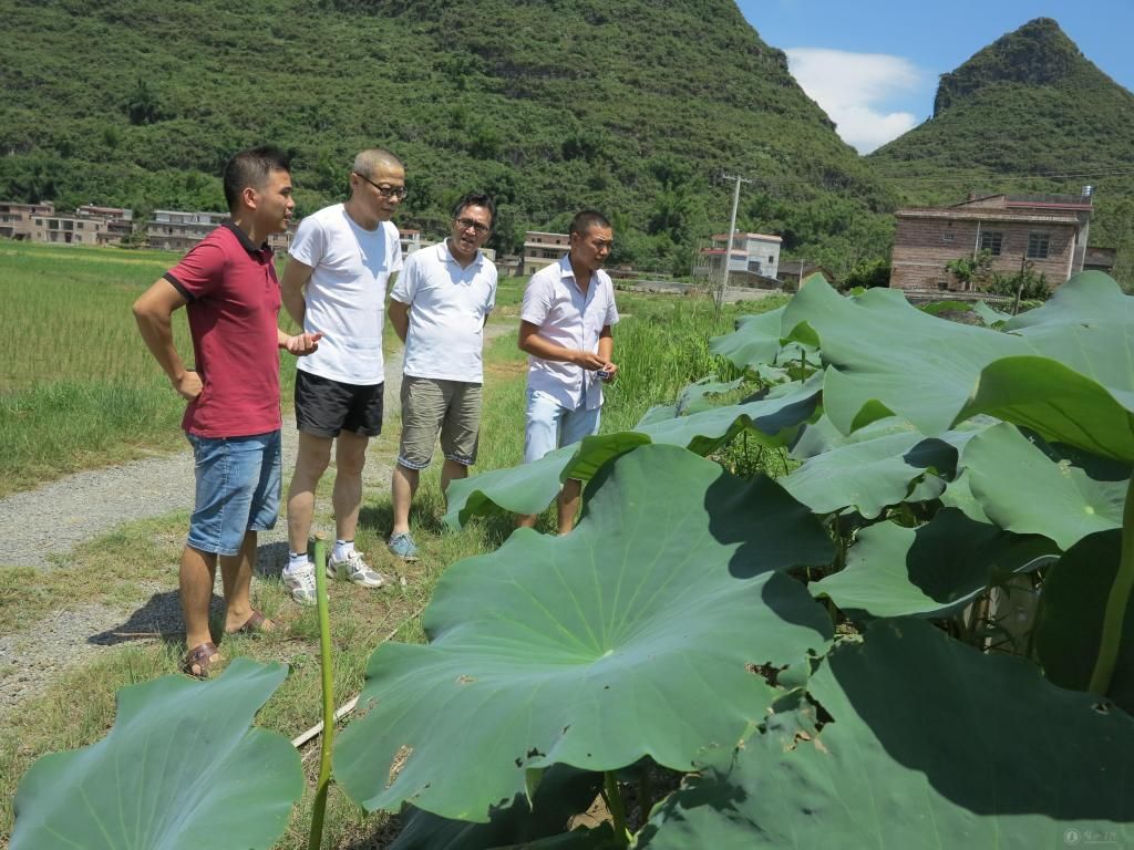 梁丁丁书记深入我校定点帮扶贫困村就脱贫攻坚工作开展专题调研