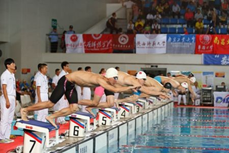 四川大学游泳队在第十六届全国大学生游泳锦标赛中勇夺六金