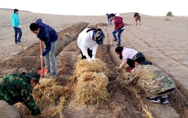 中国科学报四进沙漠，助力“绿丝带”