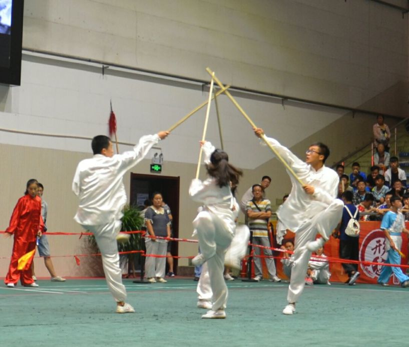 我校武术代表队获得第五届国际形意拳交流大会佳绩