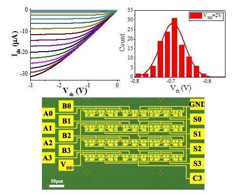 信息学院彭练矛-张志勇教授课题组在碳纳米管集成电路研究中取得重要进展