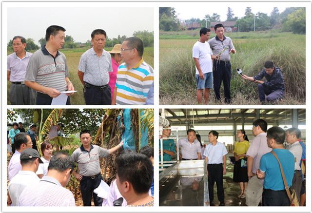 海南大学专家组赴临高指导帮助受灾农户恢复生产 | 海南大学 | Hainan University