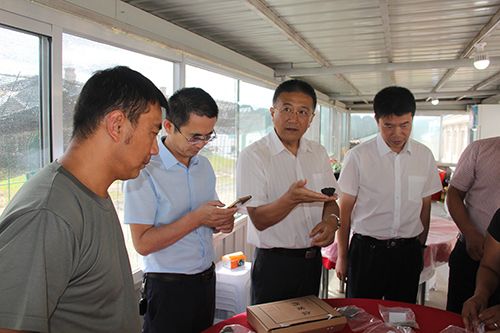 黑龙江大学考古队抚远中小学科普考古项目启动仪式在抚远举行