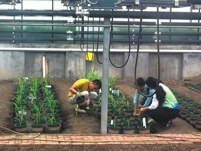 农业部转基因研发单位数量不详 难于监管