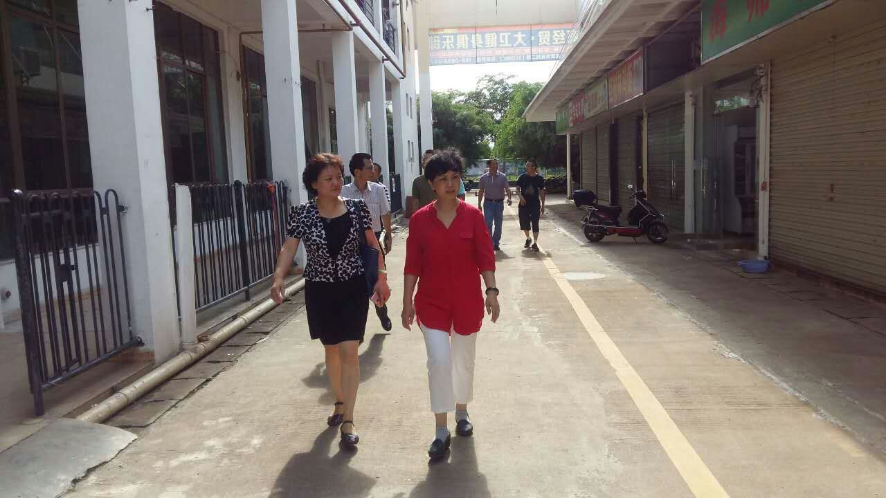 学校党委李红梅书记检查桂林洋校区在建项目进展