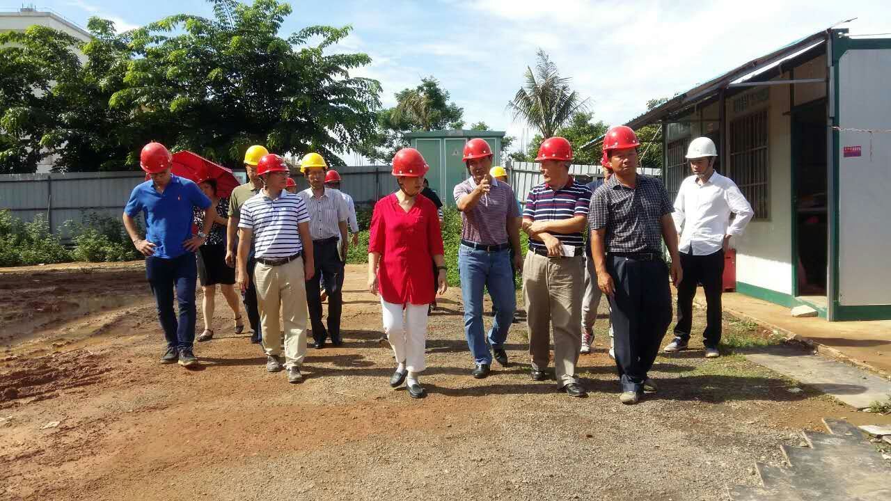 学校党委李红梅书记检查桂林洋校区在建项目进展