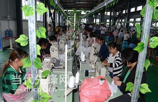 网络媒体“走转改”跟着资深记者去看“返乡创业”