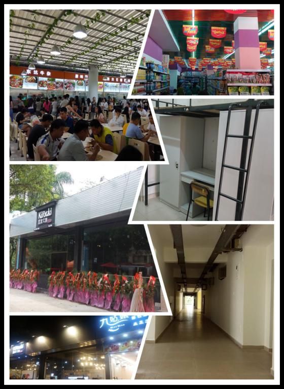 高温下默默坚守，用心将平凡的工作做到精彩