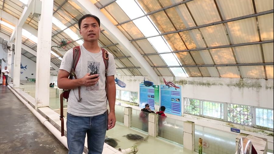 汕头大学海洋划艇项目惠东之旅与海龟近距离接触