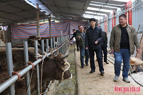 校向导带队赴那坡慰问对口扶贫驻点村第一书记和贫困户