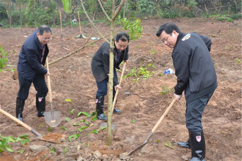 植树造林 为鲜艳校园添新绿2017-03-08 111309   作者董小丹 郭茵 刘艳梅 陆素云 张燕   来源   点击